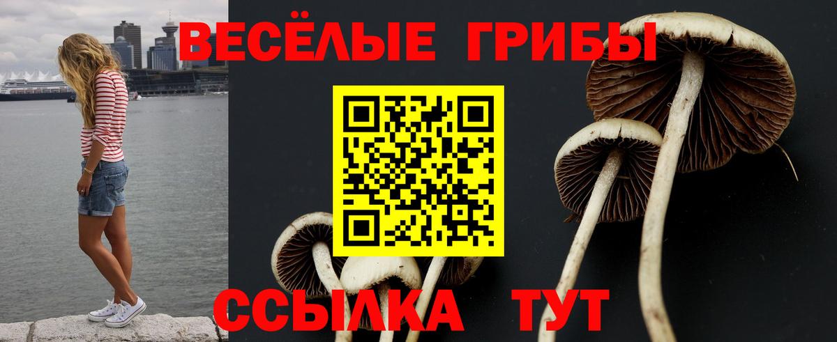 Псилоцибиновые грибы GOLDEN TEACHER  Вход с VPN  Балаково  Галлюциногенные грибы Psilocybine cubensis 